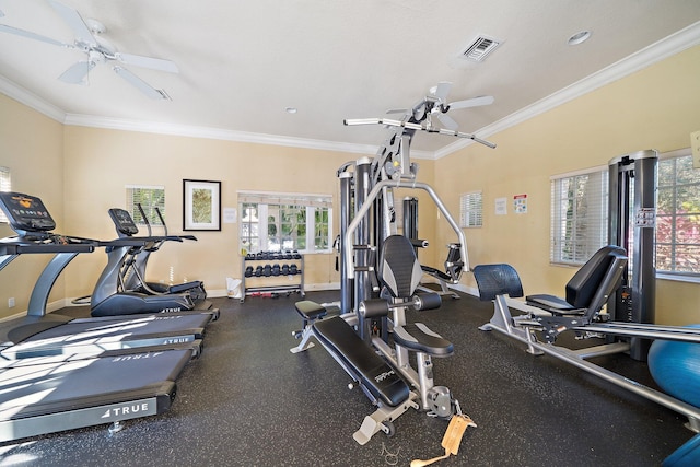 gym with ceiling fan and crown molding