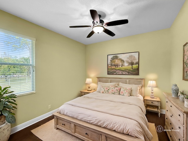 bedroom with multiple windows, dark hardwood / wood-style floors, and ceiling fan