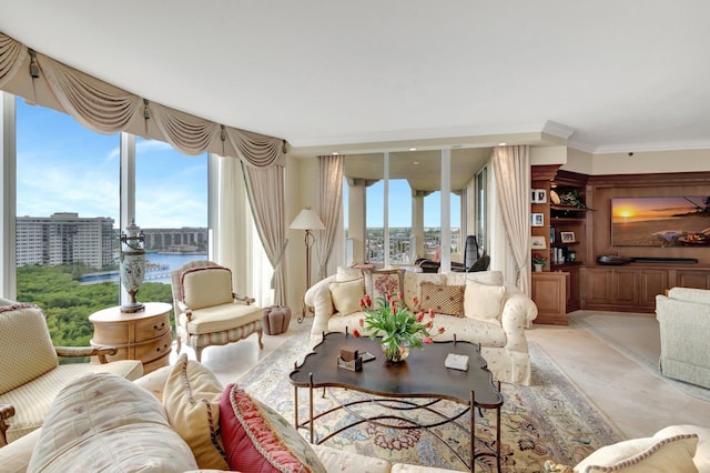 living room with crown molding