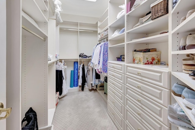 walk in closet with light colored carpet