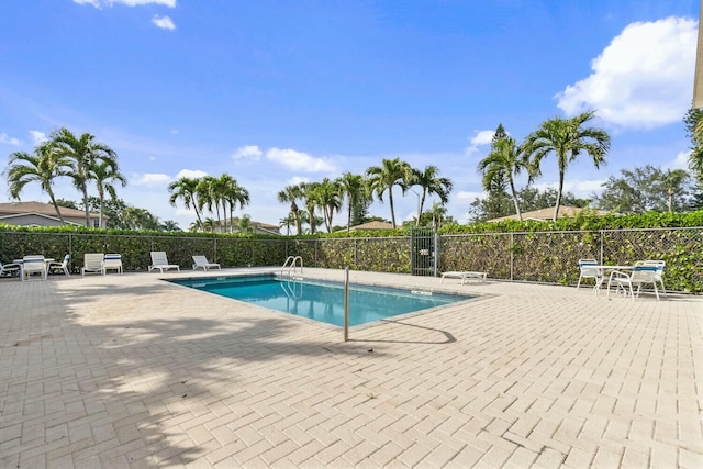 view of pool featuring a patio