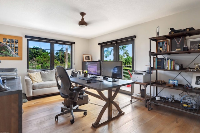 office with light wood-type flooring, ceiling fan, and a textured ceiling