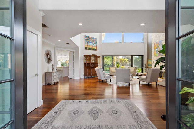 entryway with dark hardwood / wood-style flooring