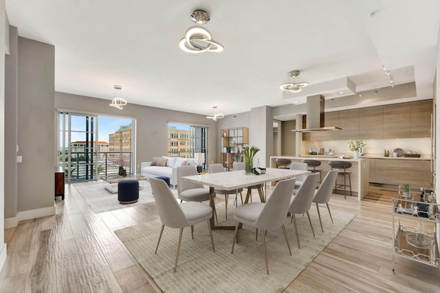 dining space featuring a raised ceiling, light wood-style flooring, and baseboards