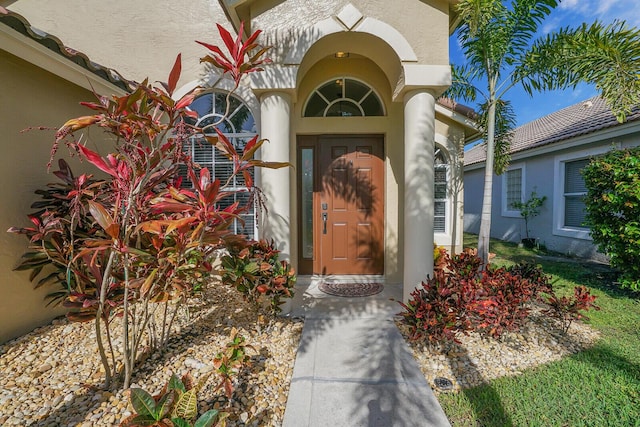 doorway to property featuring stucco siding