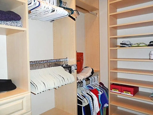 view of walk in closet