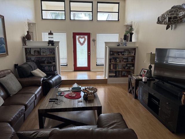 living room featuring hardwood / wood-style floors