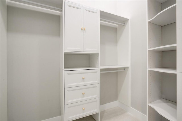 view of walk in closet