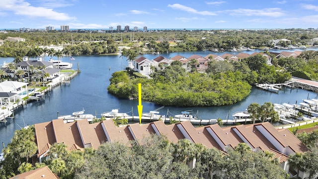 aerial view with a water view