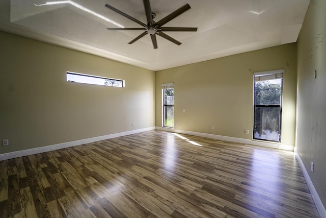 unfurnished room with wood-type flooring, ceiling fan, and a tray ceiling