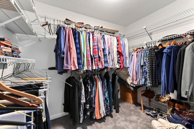 spacious closet with carpet