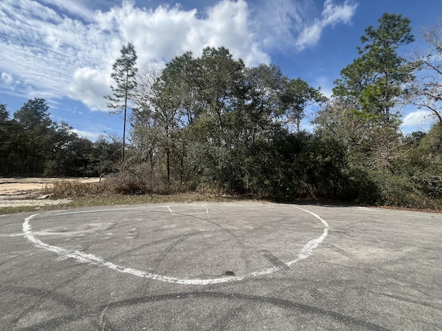 0 SW 151st Loop, Dunnellon FL, 34432 land for sale