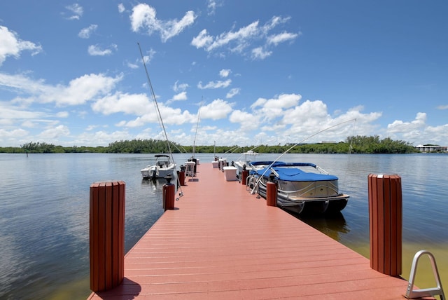 dock area with a water view