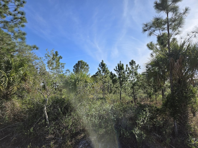 Listing photo 2 for Address Not Disclosed, Okeechobee FL 34972