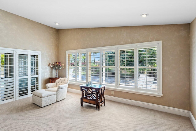 sitting room with carpet floors