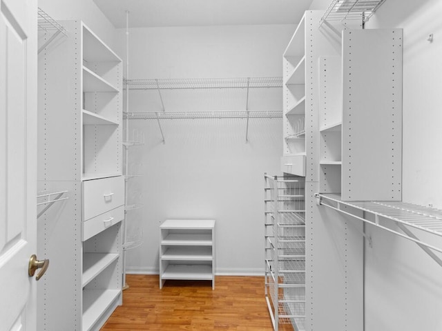 walk in closet featuring wood-type flooring