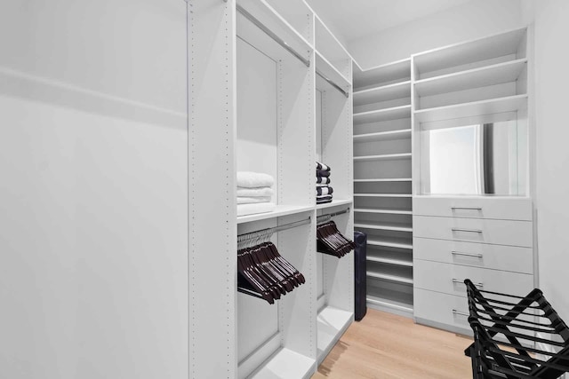 spacious closet with hardwood / wood-style floors