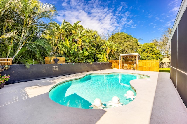 view of swimming pool with a patio area