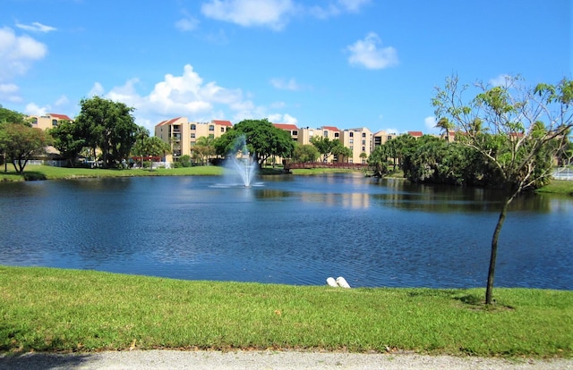 view of water feature