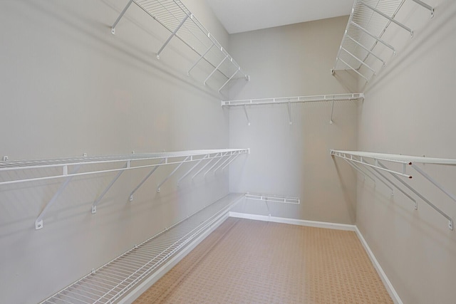 view of spacious closet