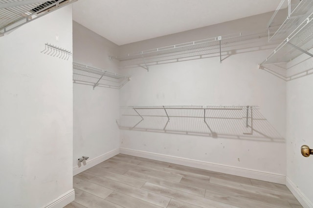 spacious closet with light wood finished floors