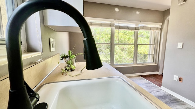 interior details featuring sink and hardwood / wood-style floors