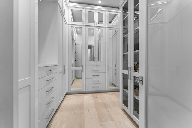 spacious closet featuring light wood-type flooring