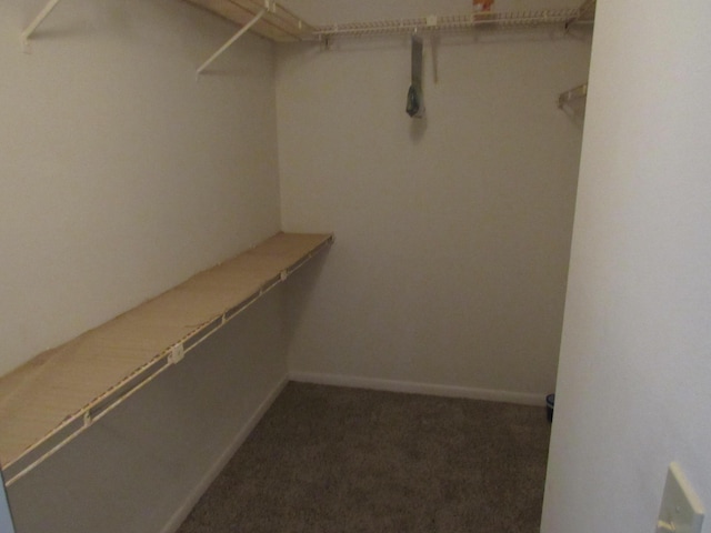 walk in closet with dark carpet