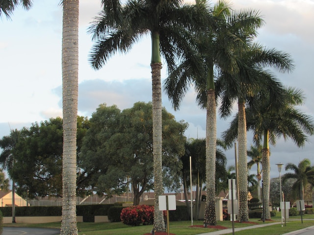 view of property's community with a lawn