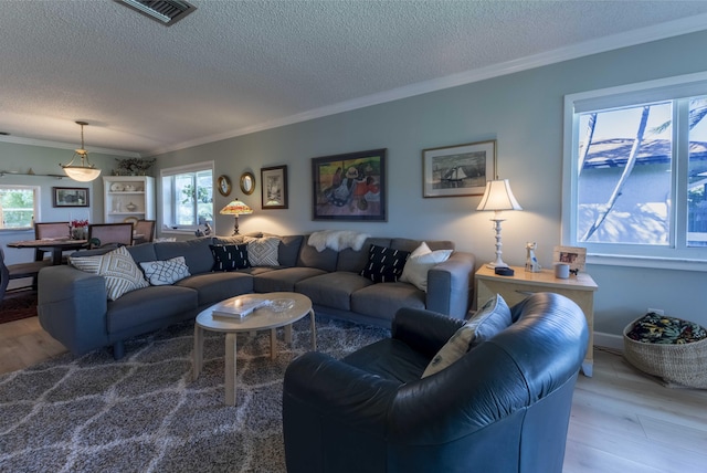 living room with a textured ceiling, crown molding, and hardwood / wood-style floors