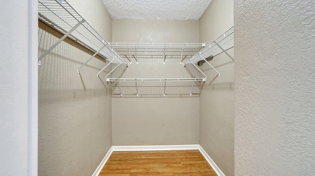 walk in closet featuring wood finished floors