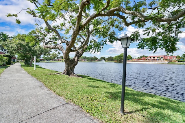 property view of water