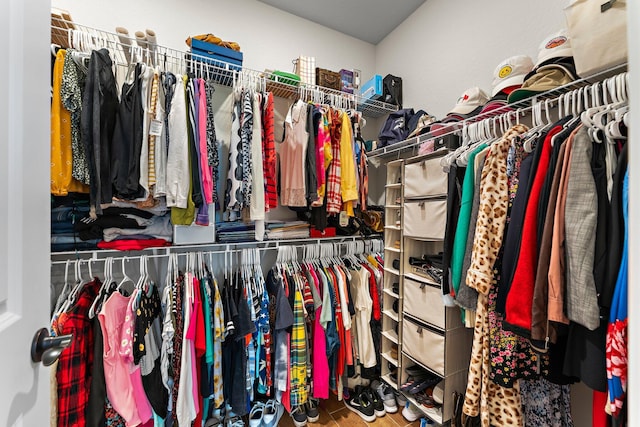 spacious closet with wood-type flooring