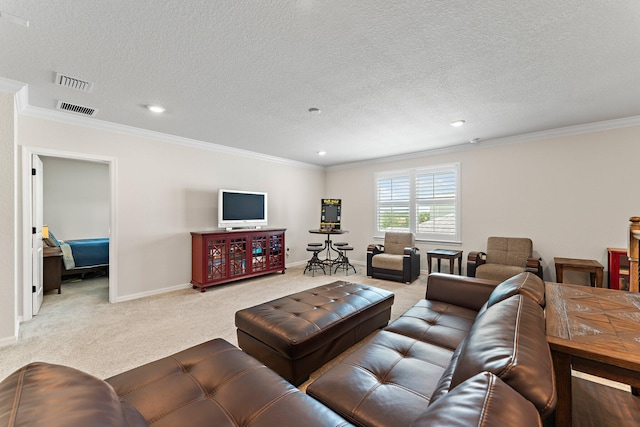 carpeted living room featuring crown molding and a textured ceiling