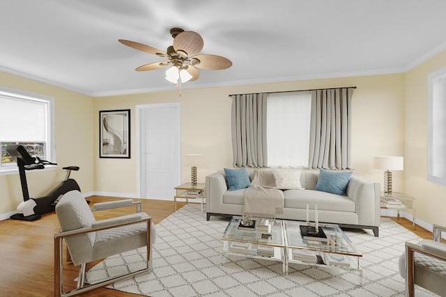 living room featuring ceiling fan, crown molding, and light hardwood / wood-style floors