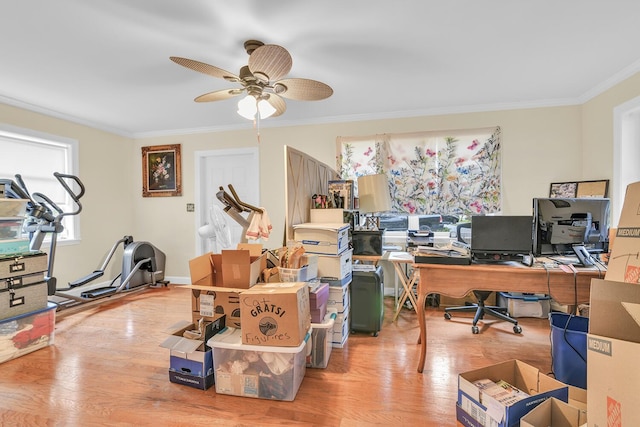 office featuring ceiling fan, crown molding, and wood-type flooring