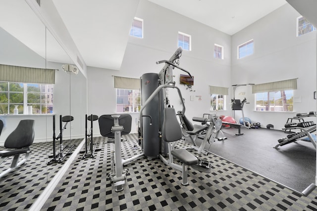 exercise room featuring a high ceiling