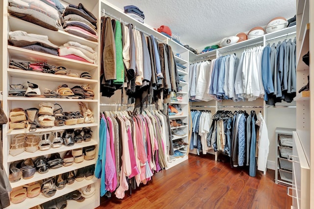 spacious closet featuring dark wood-type flooring