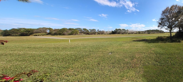 view of yard featuring a rural view