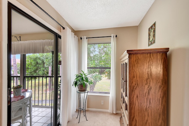 doorway with light carpet, a healthy amount of sunlight, and a textured ceiling