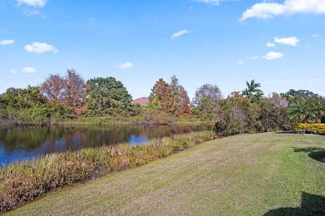 property view of water