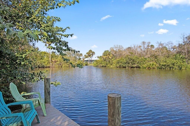 dock area featuring a water view