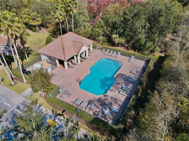 view of pool featuring a patio