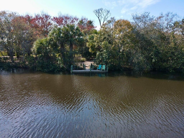 view of water feature featuring a dock