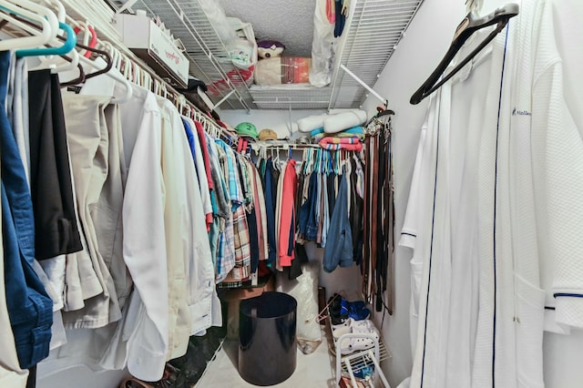 view of spacious closet