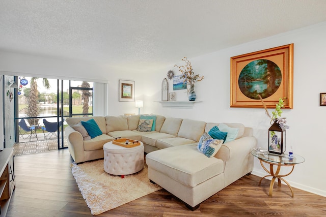 living room featuring hardwood / wood-style flooring and a textured ceiling