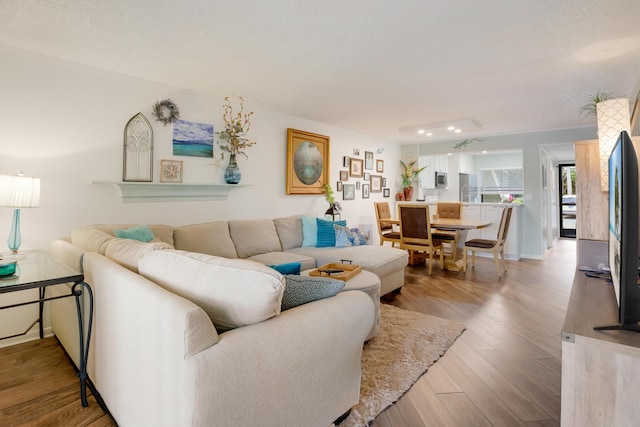 living room with hardwood / wood-style flooring and a textured ceiling