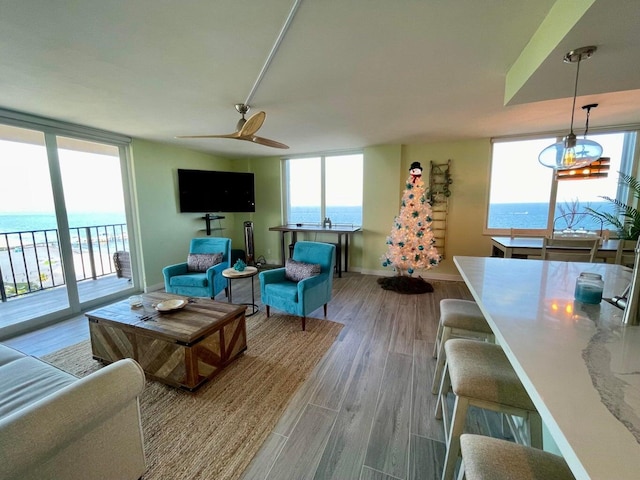 living room featuring ceiling fan and hardwood / wood-style floors