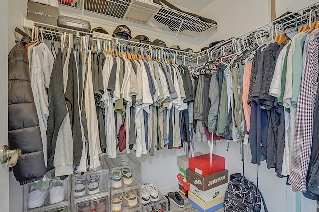 view of spacious closet