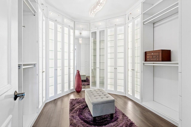 spacious closet featuring dark wood-type flooring and french doors